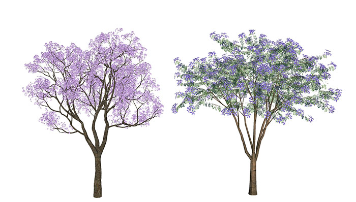 Urban landscape library, Trees 
