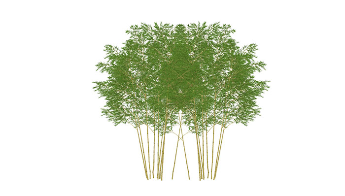 Urban landscape library, Trees 