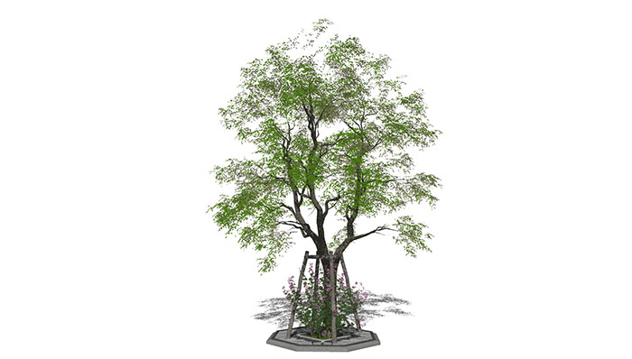 Urban landscape library, Trees 