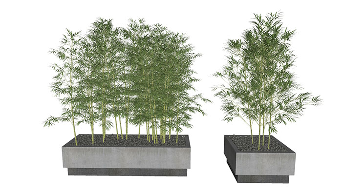 Urban landscape library, Trees 