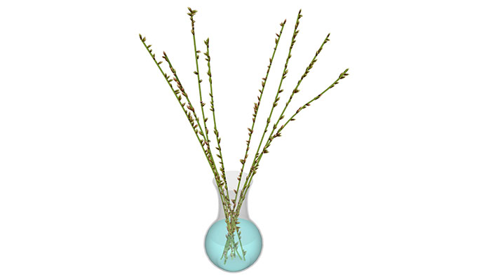 Home Decorating Sets library, Trees 