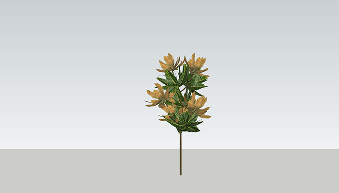 Home Decorating Sets library, Trees 