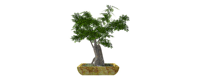 Small landscape garden design model