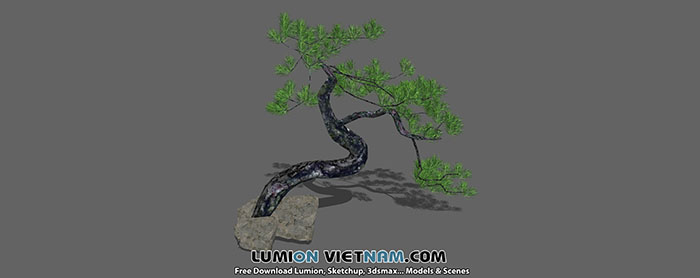 Small landscape garden design model