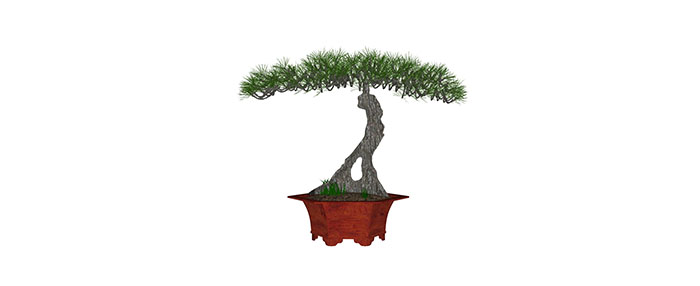 Small landscape garden design model