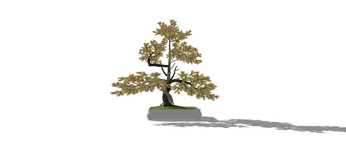Small landscape garden design model