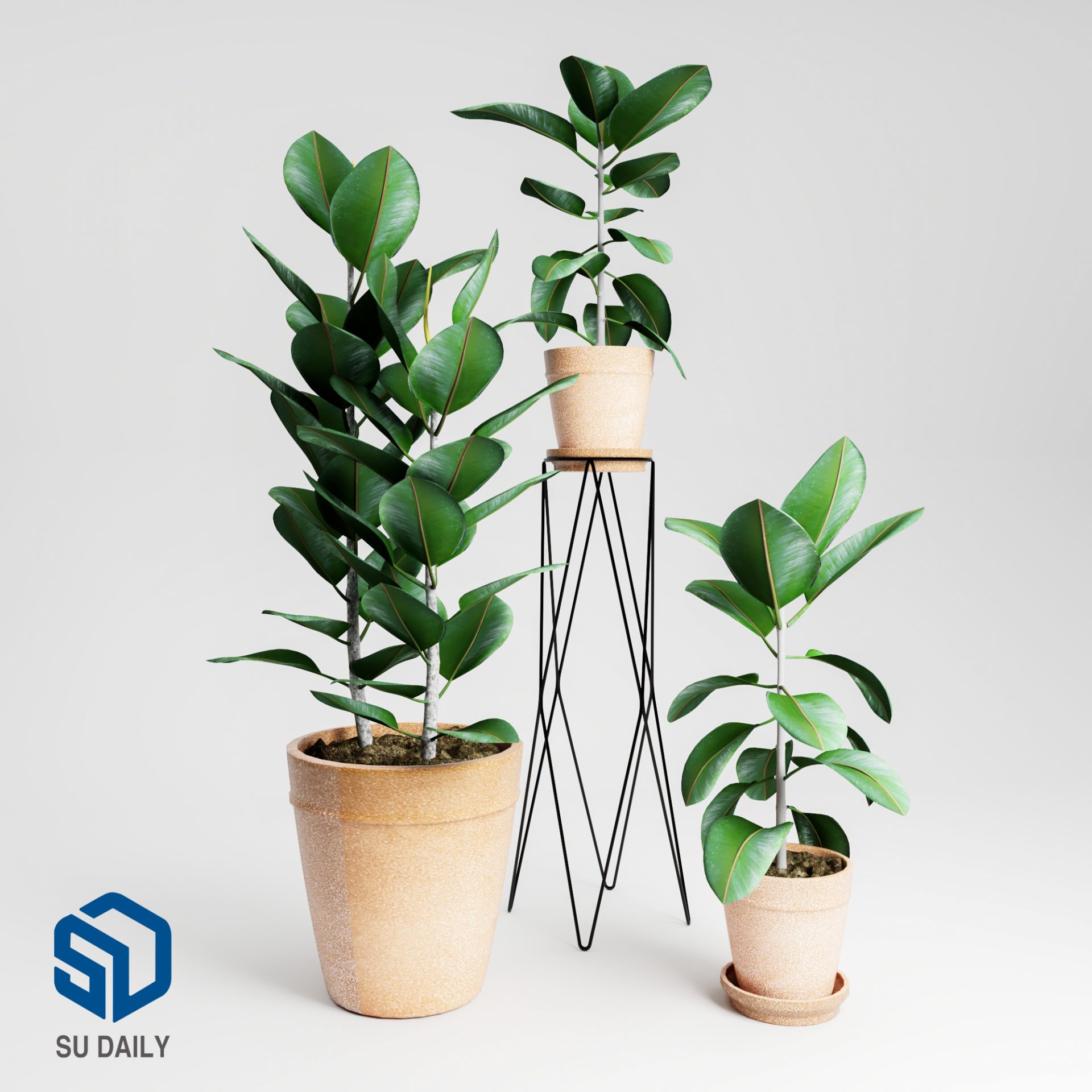 Plant Sketchup File free download