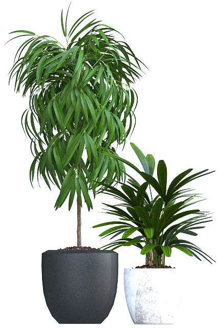 Plant Sketchup File free download