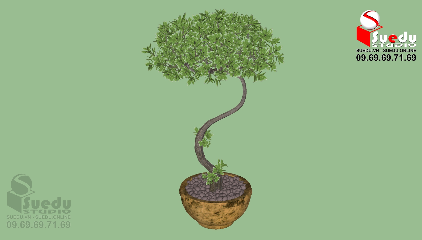 BonSai Tree Sketchup File free download