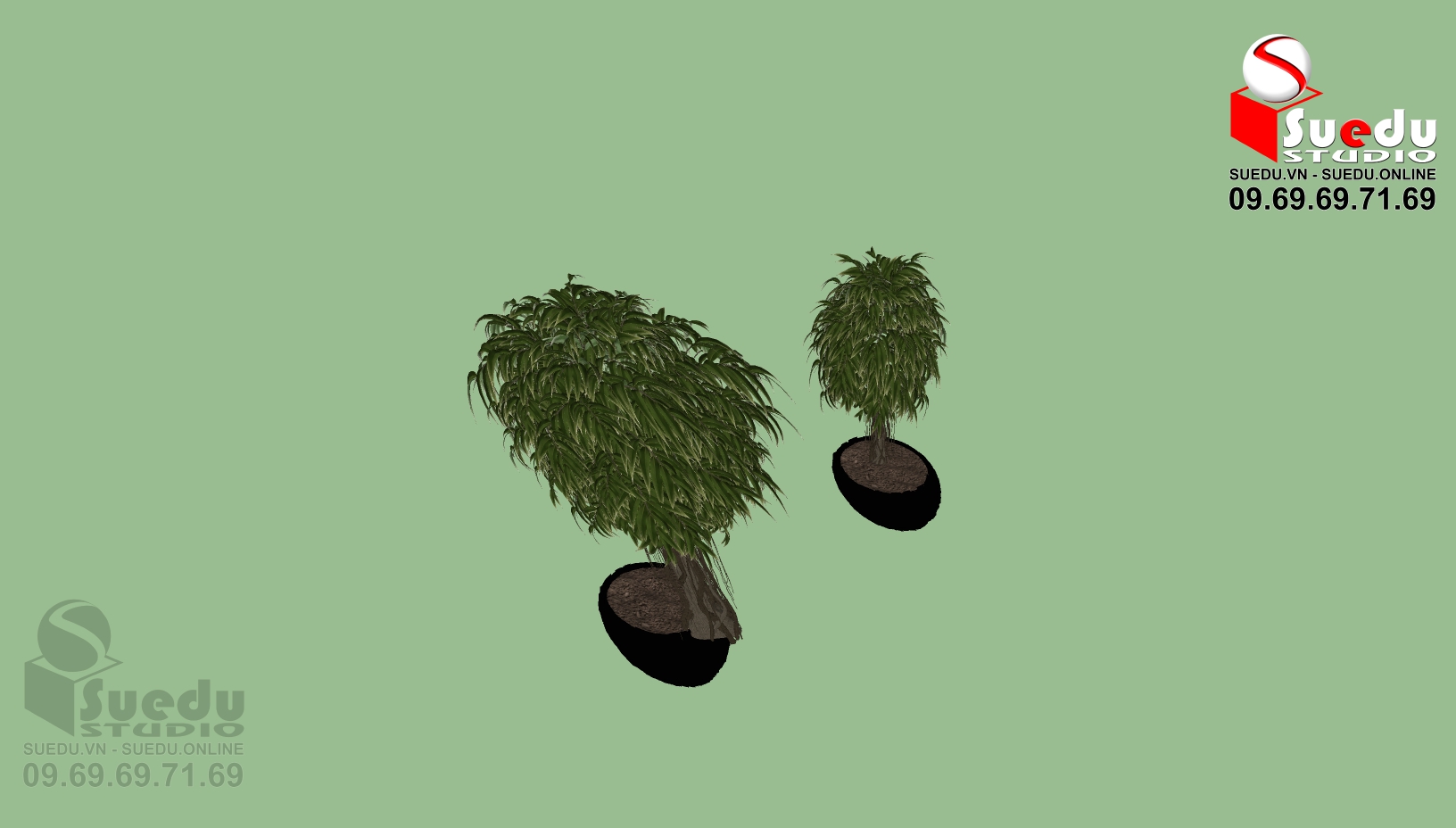 BonSai Tree Sketchup File free download