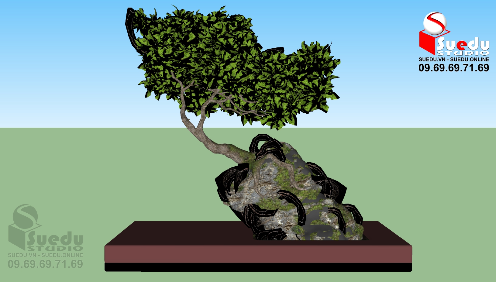 BonSai Tree Sketchup File free download