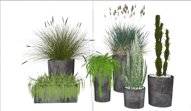 Plant Sketchup  by NguyenHuyGiap