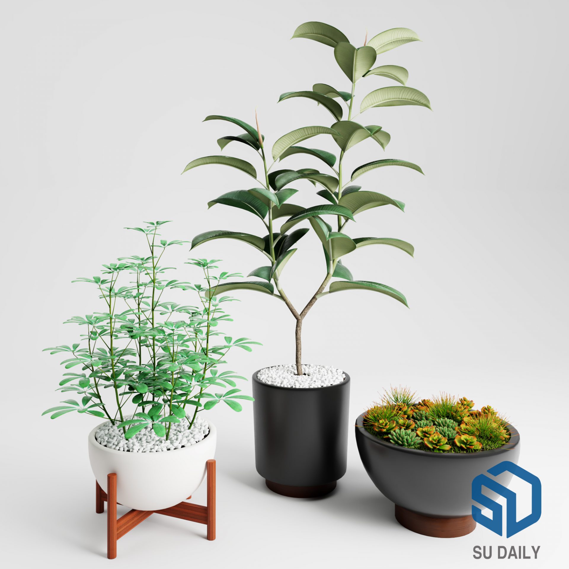 Plant Sketchup File free download