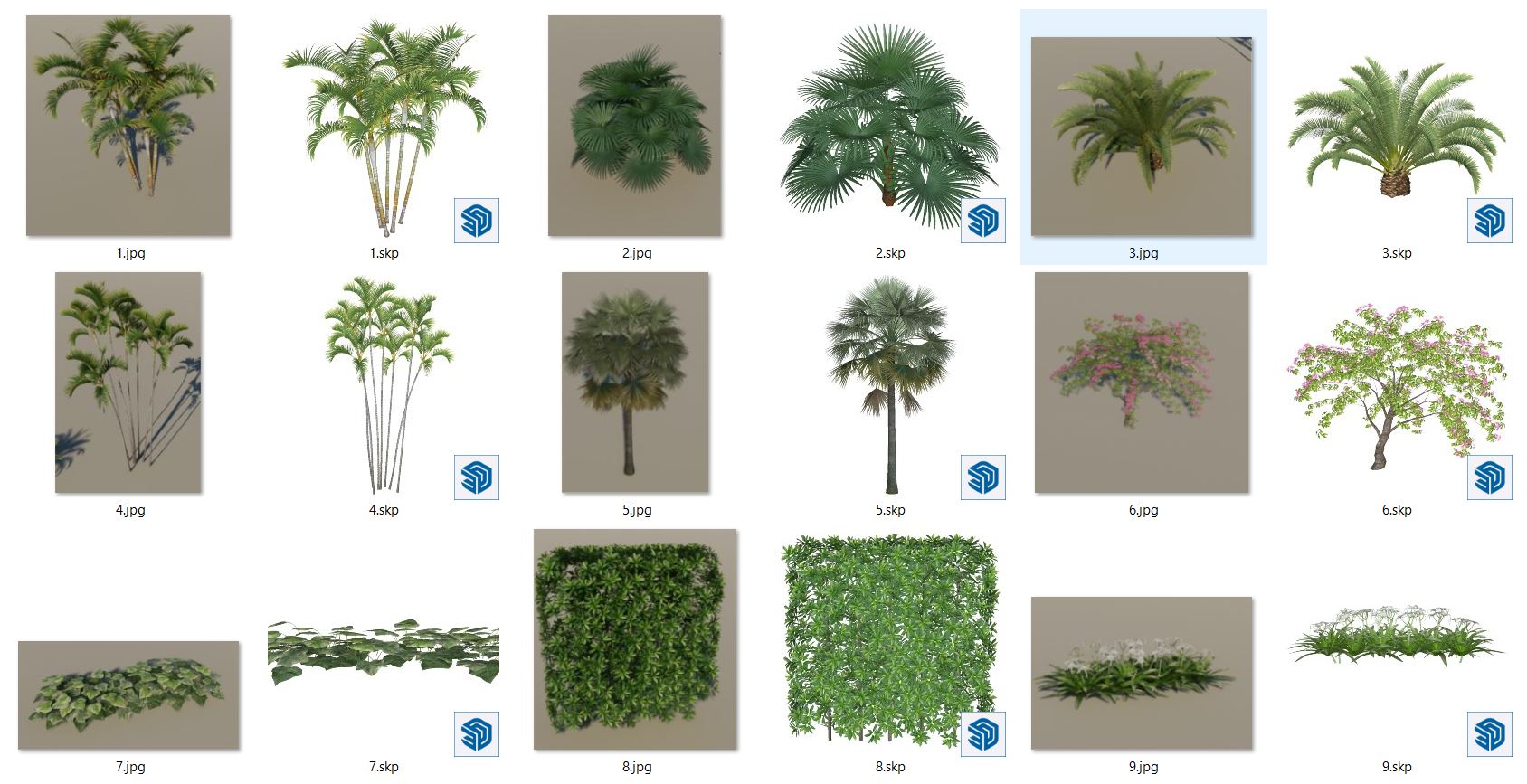 Collection Plant Sketchup  by Pham Trinh 1