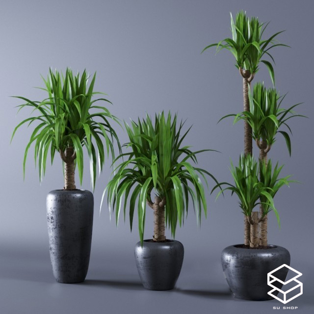 Plant Sketchup File free download