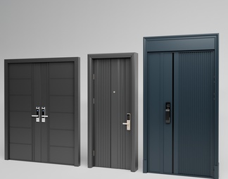 security door