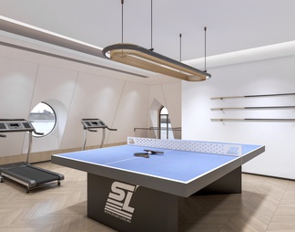 table tennis room