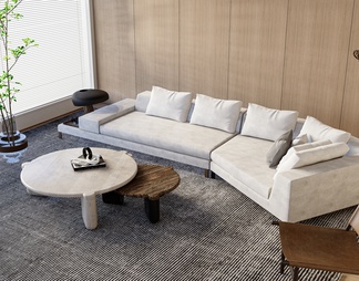 Multi-person sofa and coffee table combination