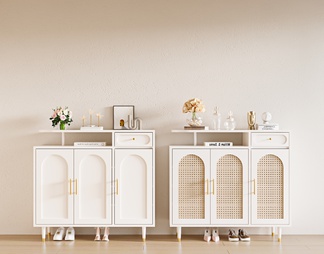 Shoe cabinet entrance